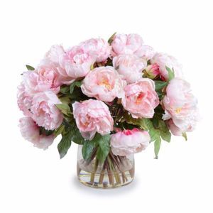 Meet your Posher, Gary