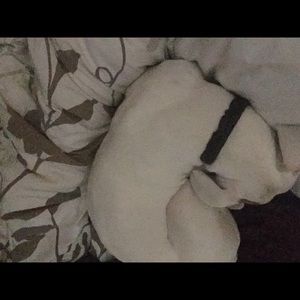 Meet your Posher, Robin