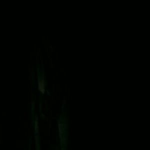 Meet your Posher, Ana