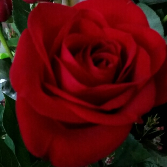 Meet your Posher, Renee