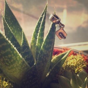 Graduating hat, Pandora Charm