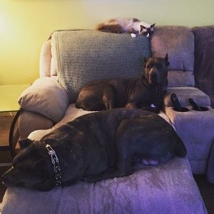 Meet your Posher, Deborah