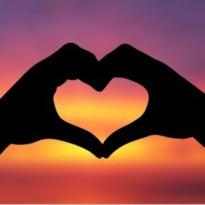 Meet your Posher, Lizzy