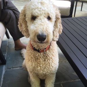 Meet your Posher, Neha