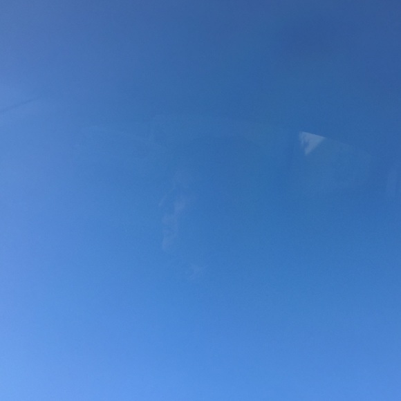 Meet your Posher, Lexi - Picture 1 of 1