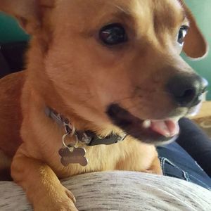 Meet your Posher, Tracy