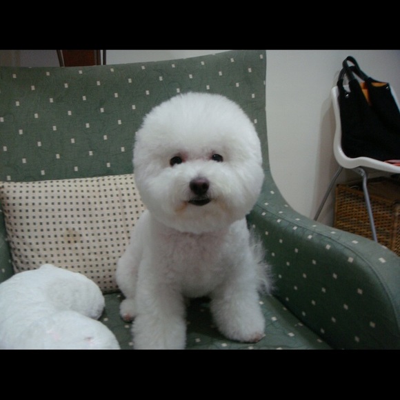 Meet your Posher, Anna