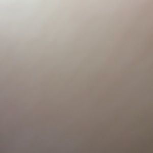 Meet your Posher, Dillon