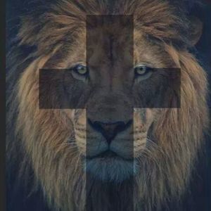 Meet your Posher, Bethann