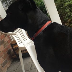 Meet your Posher, Sean