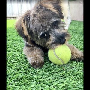 Meet your Posher, Kelly