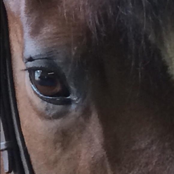 Meet your Posher, Cathlin