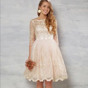 Gilded Grace Lace Dress