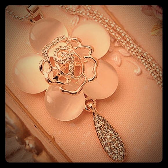 The timeless flower