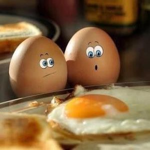 Meet your Posher, Elaine