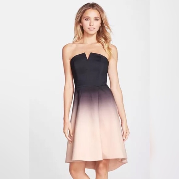Halston Heritage Ombré Dress
