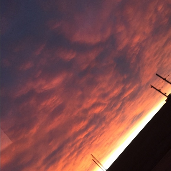 Meet your Posher, Sammy