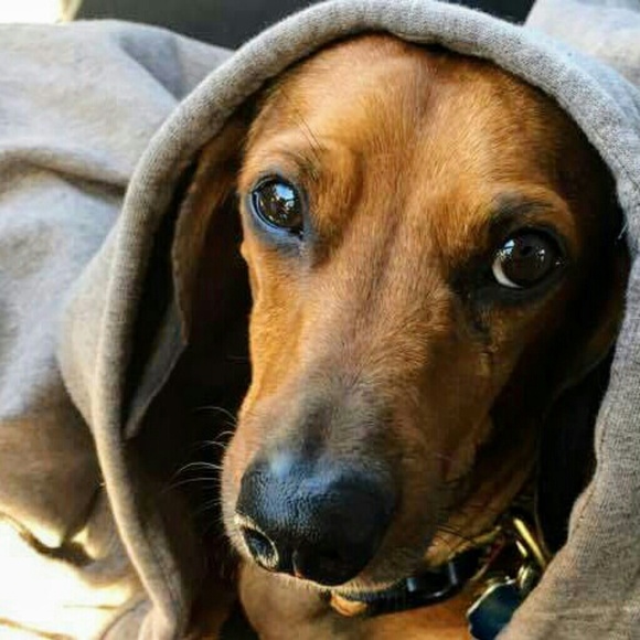 Meet your Posher, Tim - Picture 2 of 2