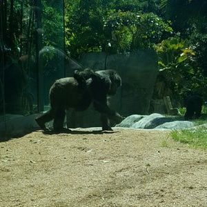 Meet your Posher, Betty