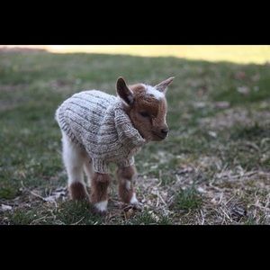 Meet your Posher, Kacie