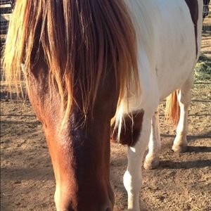 Meet your Posher, Beth