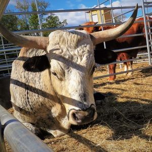 Meet your Posher, Alecia