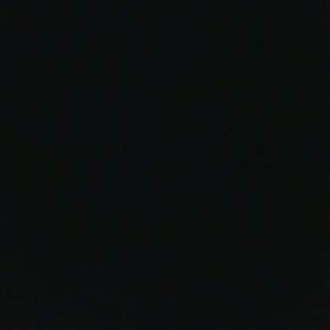 Meet your Posher, Shelley