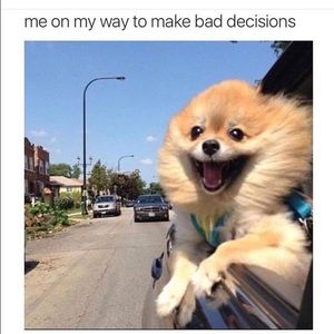 Meet your Posher, Jose