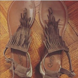 Brown fridge gladiators