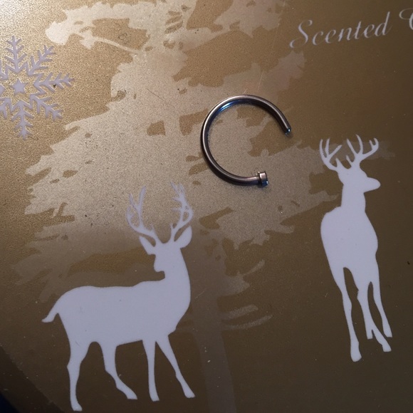 Stainless Steel Nose Hoop