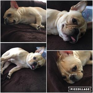 Meet your Posher, Marciano