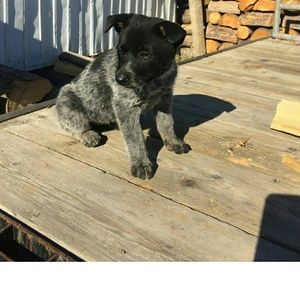 Meet your Posher, Stefani