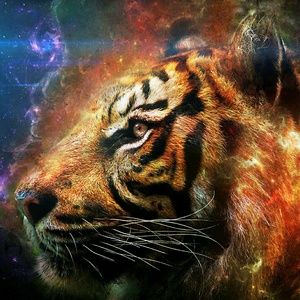 Meet your Posher, Paul