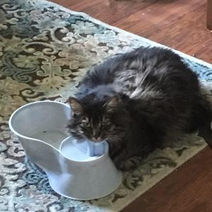 Meet your Posher, Roberto