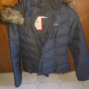 Hollister winter jacket