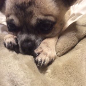 Meet your Posher, Essa