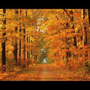 Meet your Posher, Sanad