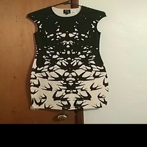 Alexander McQueen Dress