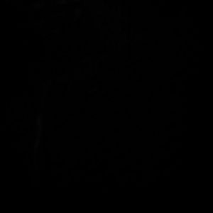 Meet your Posher, Alisha