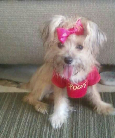 Meet your Posher, Kirian - Picture 1 of 1