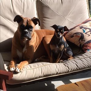 Meet your Posher, Ellie