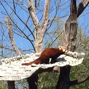 Meet your Posher, Jarrod