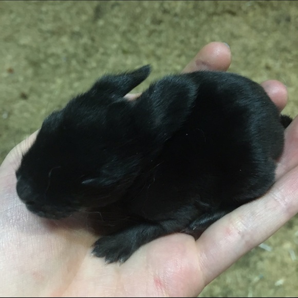 All sales benefit medical mission trip to DR! - Picture 1 of 1