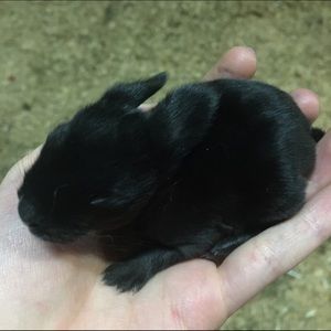 All sales benefit medical mission trip to DR!