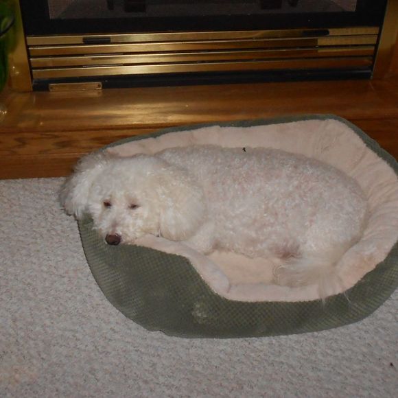 Meet your Posher, Grace