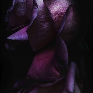 Meet your Posher, Janet