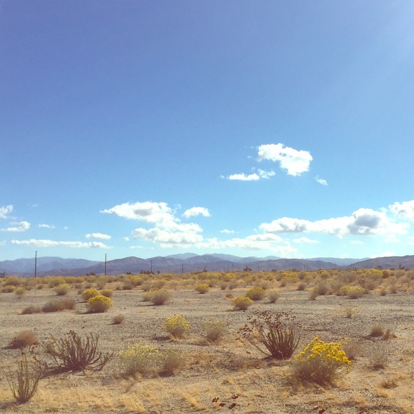 MOVING SALE! ✈️☀️