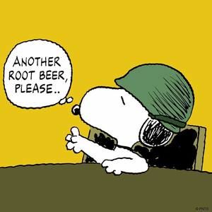 Meet your Posher, Sue