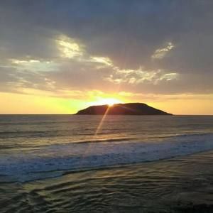 Meet your Posher, Alicia