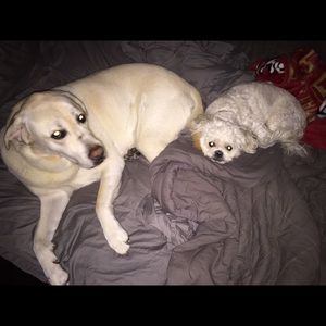 Meet your Posher, Derek